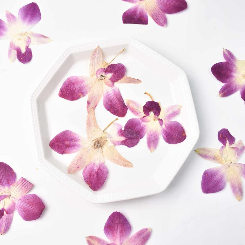 Resin Art For Photo Frame - 4 Buah, Bunga Anggrek Kupu-kupu Asli