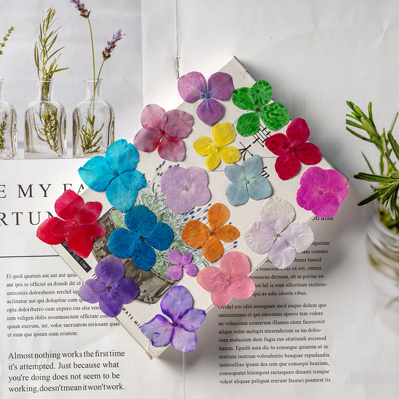 60 Buah Bunga Anna Hydrangea P - Resin Art For Photo Frame ulasan dan harga