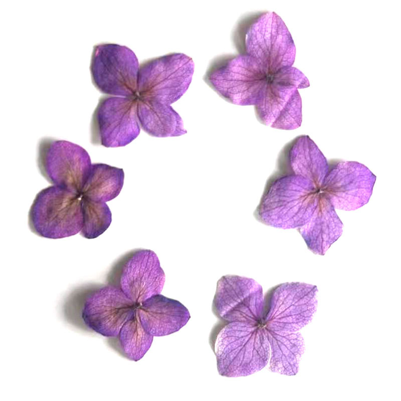 60 Buah Bunga Anna Hydrangea P - Resin Art For Photo Frame ulasan dan harga