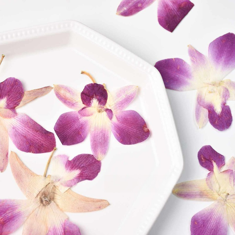 4 Buah, Bunga Anggrek Kupu-kup - Resin Art For Photo Frame ulasan dan harga