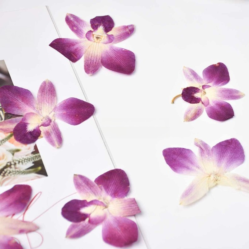 4 Buah, Bunga Anggrek Kupu-kup - Resin Art For Photo Frame ulasan dan harga