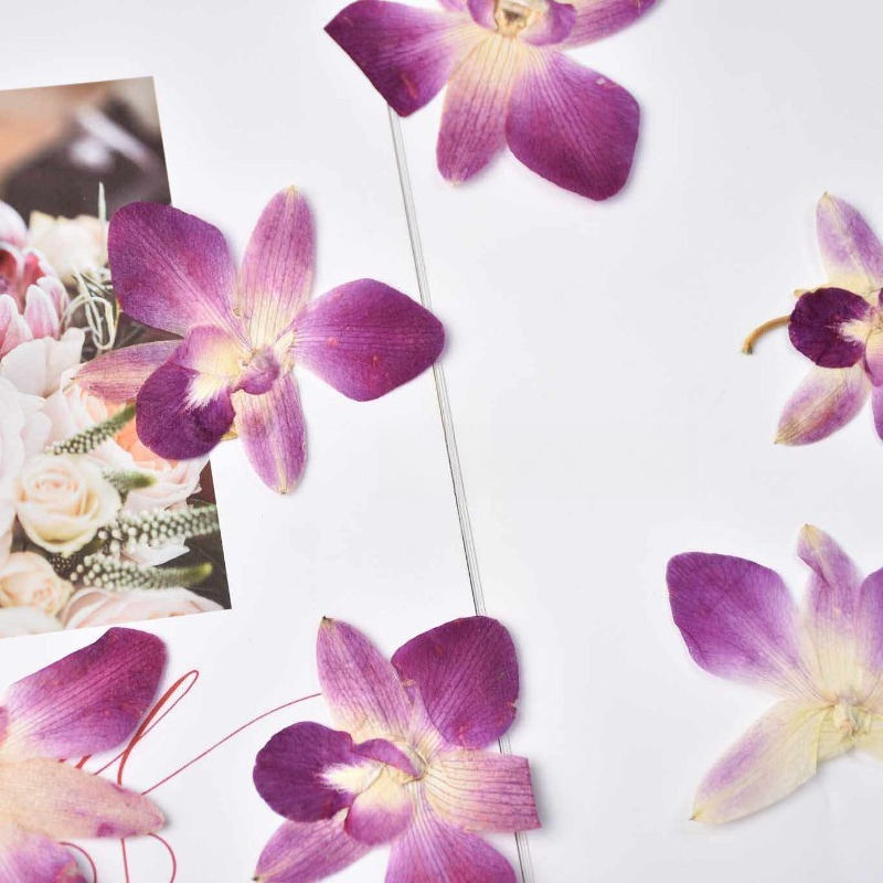 4 Buah, Bunga Anggrek Kupu-kup - Resin Art For Photo Frame ulasan dan harga