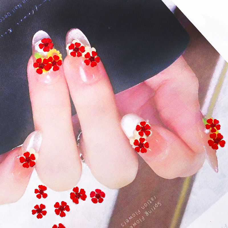 96 Buah Bunga Mini 1.5Cm Alami - Resin Art For Photo Frame ulasan dan harga