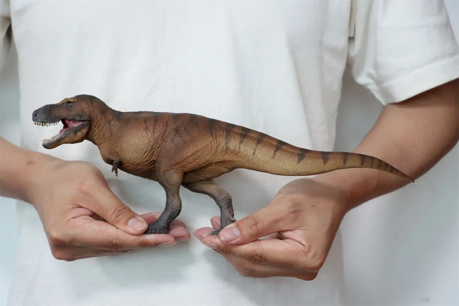 PNSO 1/35 Tyrannosaurus Rex Ca - Resin Art Decoration Items ulasan dan harga