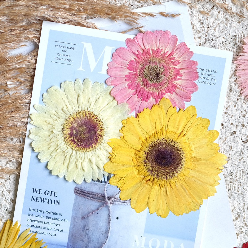 1pcs/7-9cm, Bunga Gerbera Keri - Resin Art Sticker ulasan dan harga