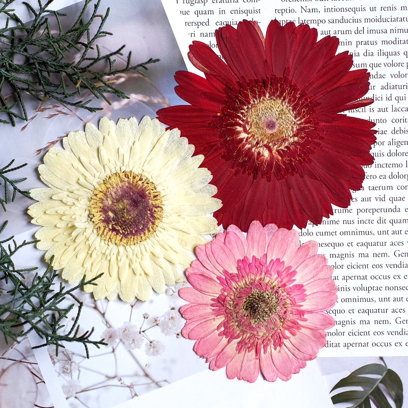 1pcs/7-9cm, Bunga Gerbera Keri - Resin Art Sticker ulasan dan harga