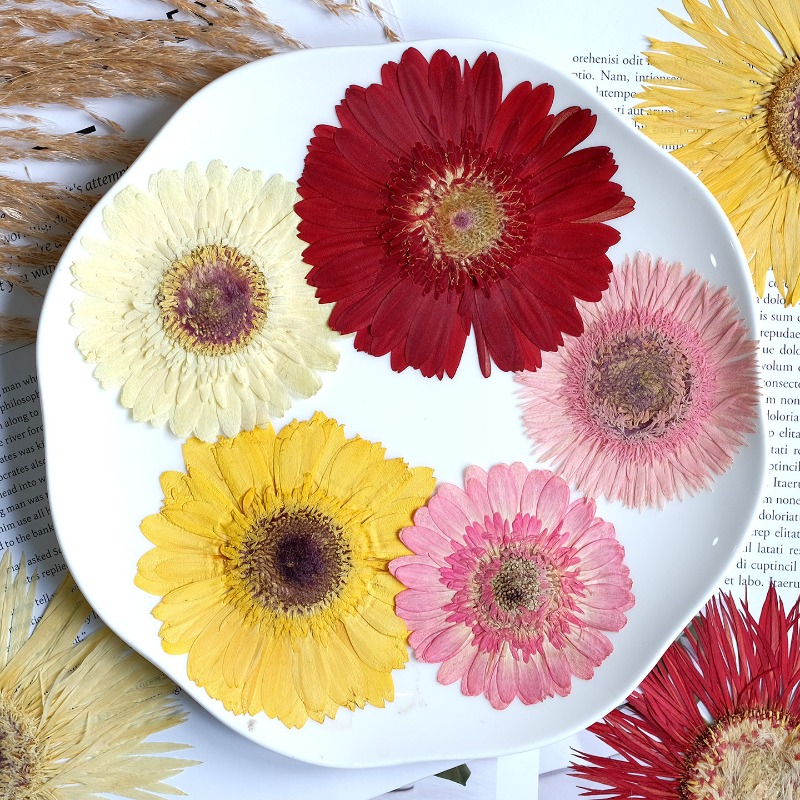 1pcs/7-9cm, Bunga Gerbera Keri - Resin Art Sticker ulasan dan harga